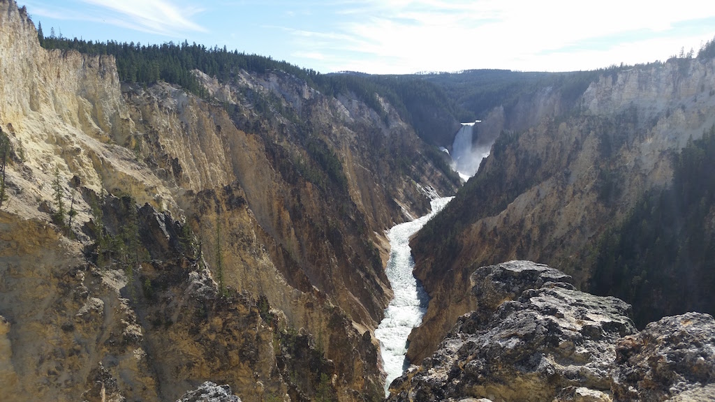 view from Artist's point in Yellowstone National Park