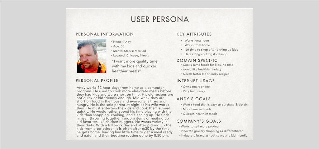 a sample user persona